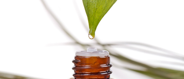 201808081157564549 201808081157564549